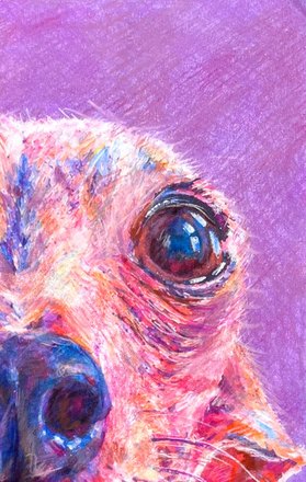 Luna up close, an eye worked in blue and white pencil against warm pink