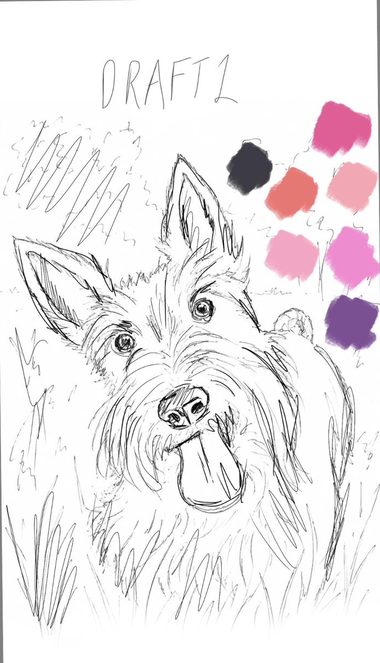 Line drawing of a Scottish terrier with a row of pink, purple and coral colour marks beside it