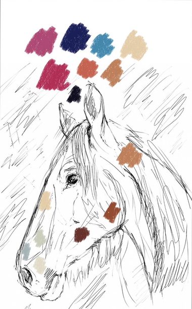 Line drawing of a horse's head in profile with warm brown and blue colour marks