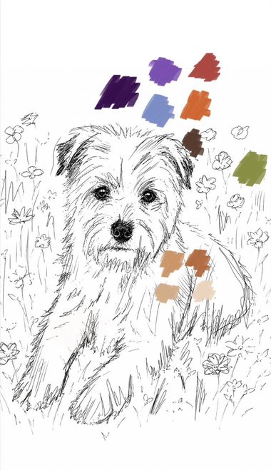 Line drawing of a scruffy terrier among flowers with warm colour marks beside it